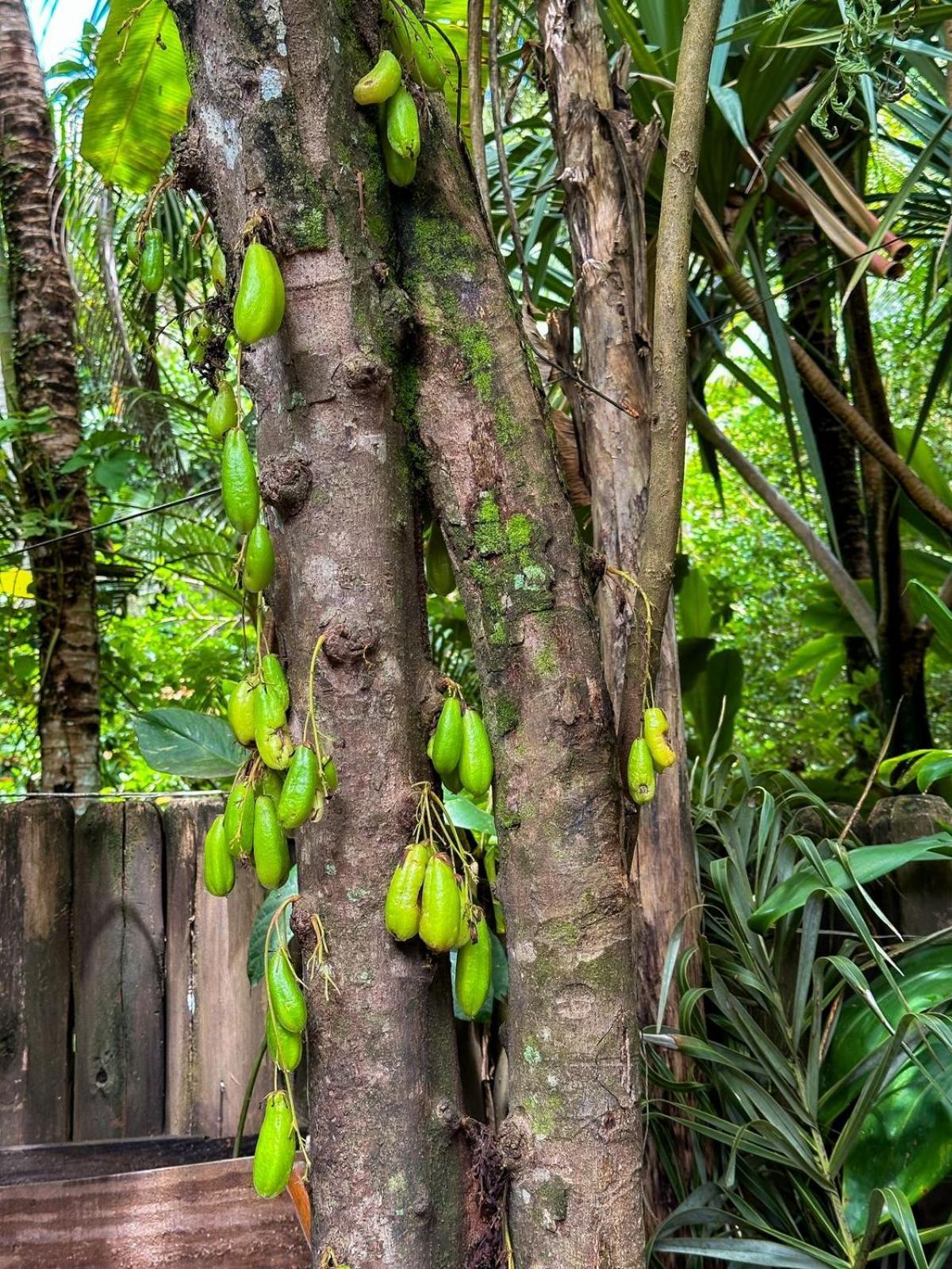 Casa Da Gloria Trancoso - Pousada Boutique Экстерьер фото